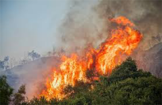 Incendio sul Monte Salviano: intervento notturno dei Vigili del Fuoco e della Protezione Civile